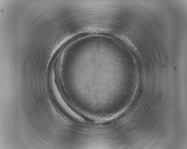 X0000059840488200511181517