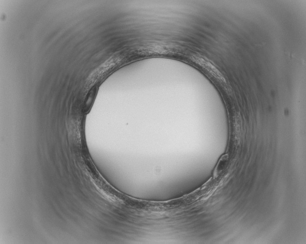 X0000059840489200511181517