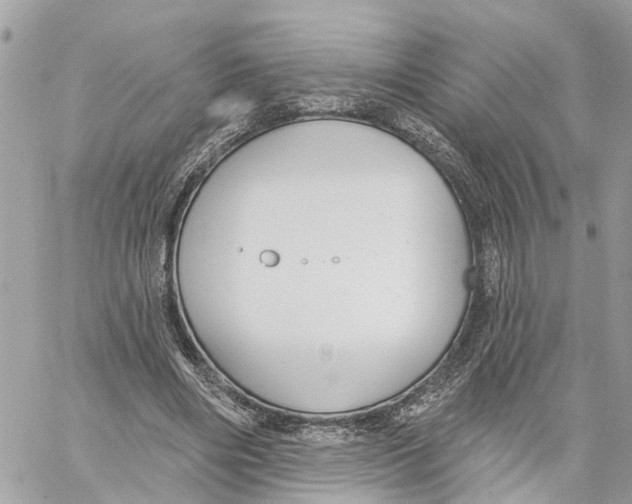 X0000059840490200511181517