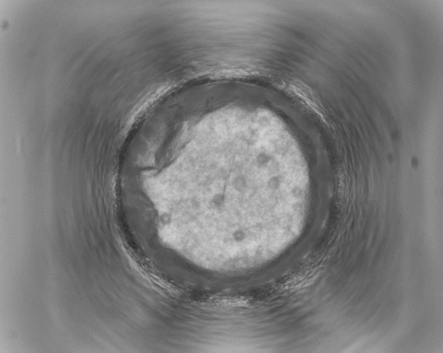 X0000059840491200511181517