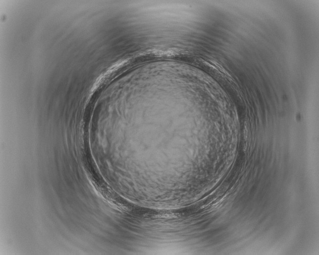 X0000059840492200511181517