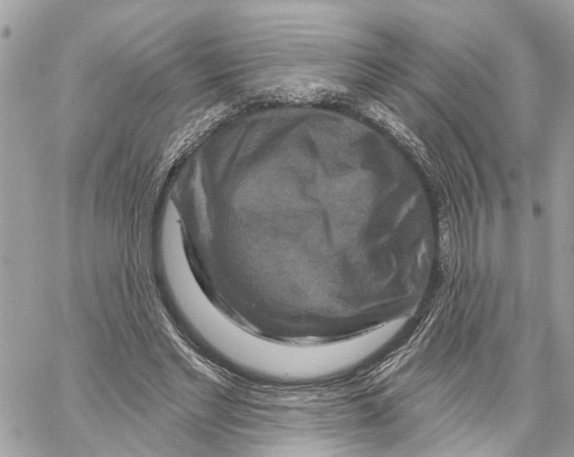 X0000059840493200511181517