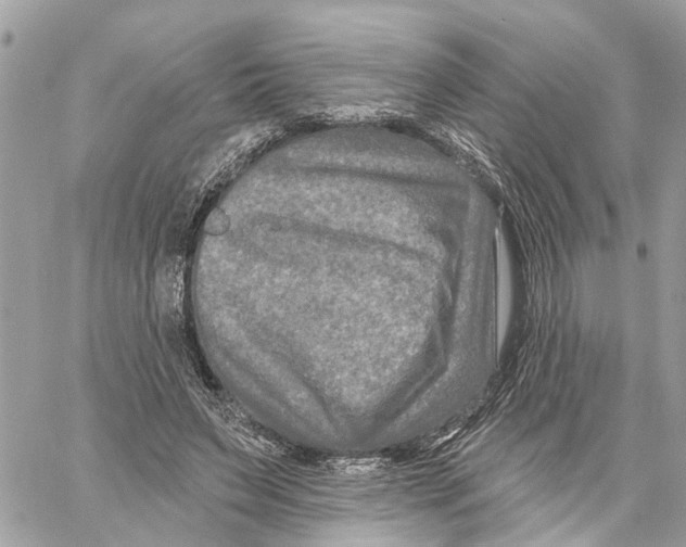 X0000059840495200511181517