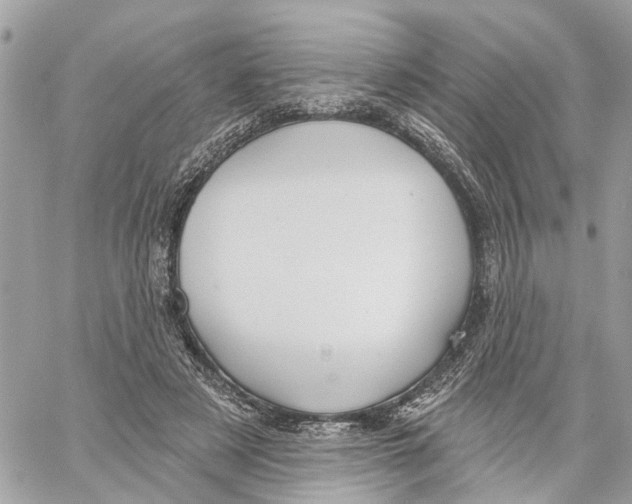 X0000059840497200511181516