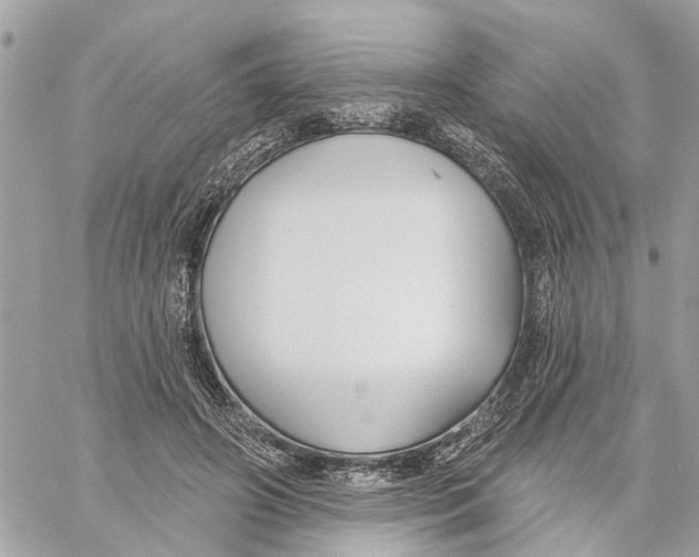 X0000059840498200511181516