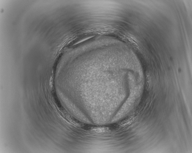 X0000059840499200511181516