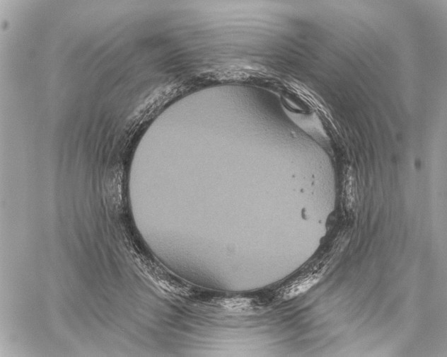 X0000059840501200511181516