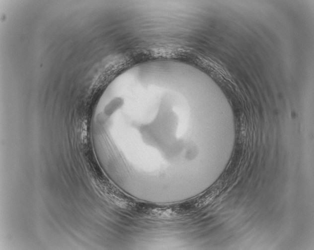 X0000059840502200511181516