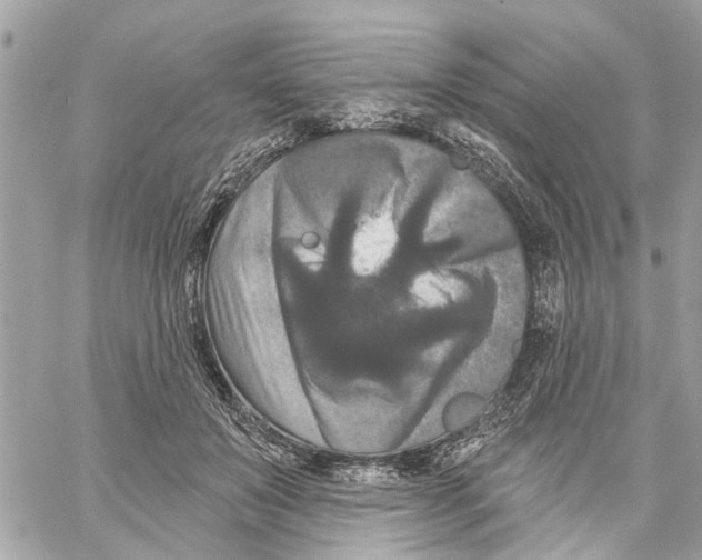 X0000059840503200511181516