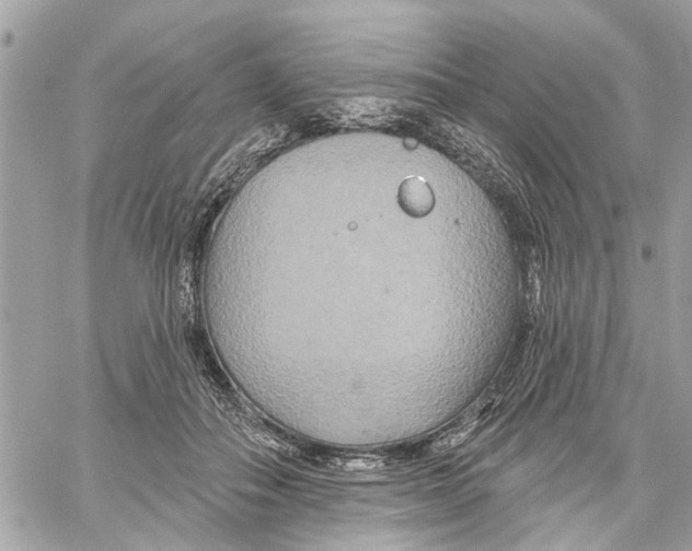 X0000059840506200511181516