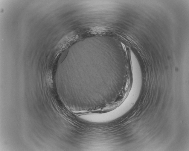 X0000059840508200511181516