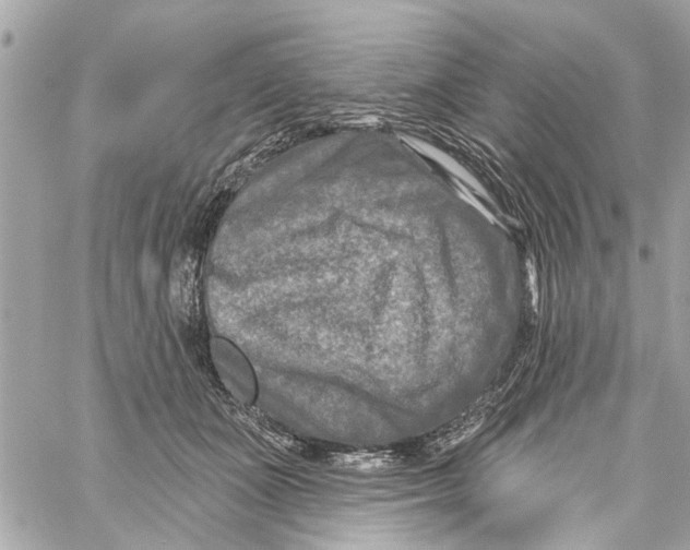 X0000059840511200511181516