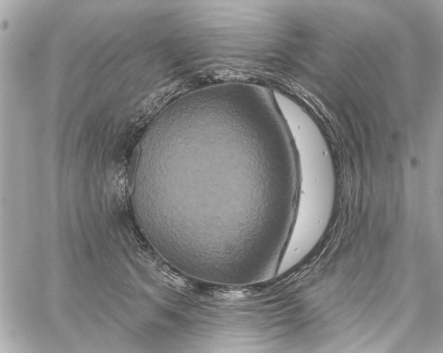 X0000059840513200511181516