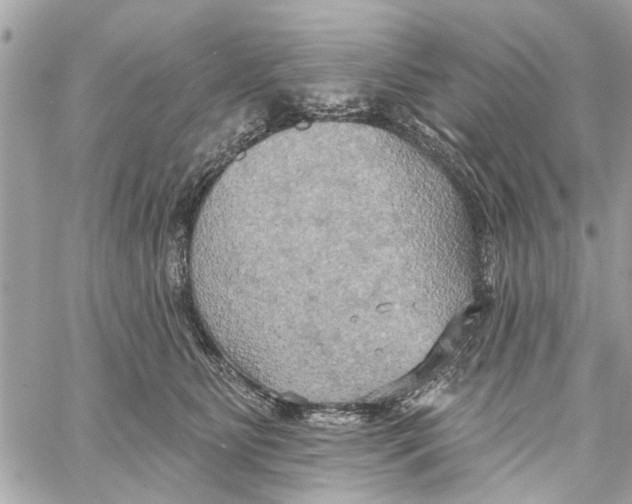 X0000059840515200511181516