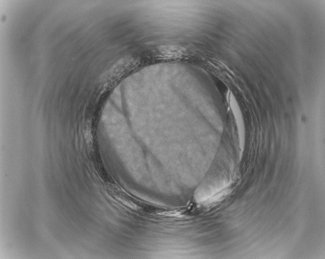 X0000059840516200511181516