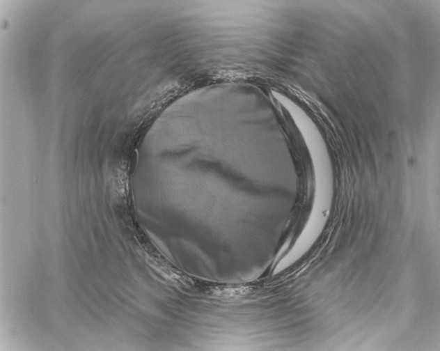 X0000059840517200511181516