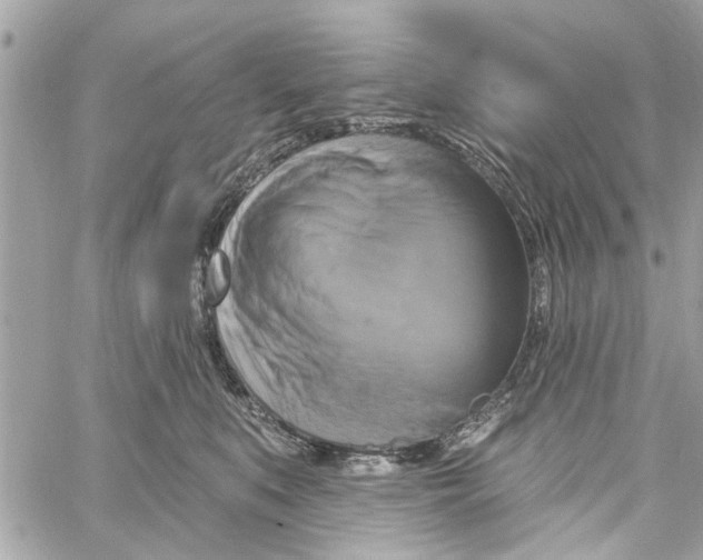 X0000059840519200511181516