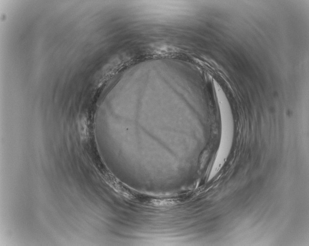 X0000059840520200511181516