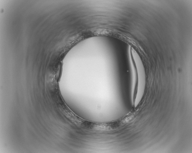 X0000059840521200511181516