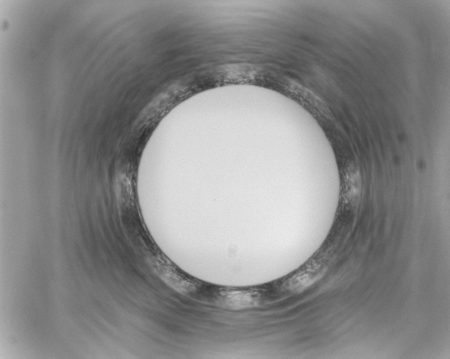 X0000059840522200511181516