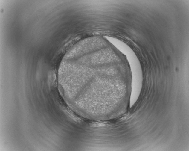 X0000059840523200511181516