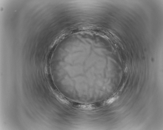 X0000059840524200511181516