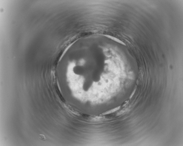 X0000059840527200511181516