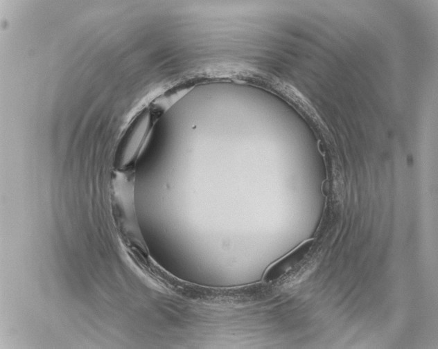 X0000059840530200511181515