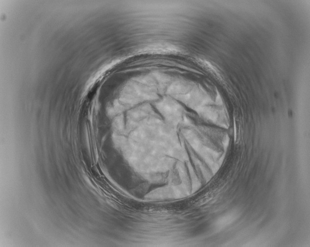 X0000059840531200511181515