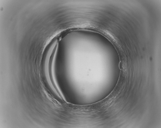 X0000059840532200511181515