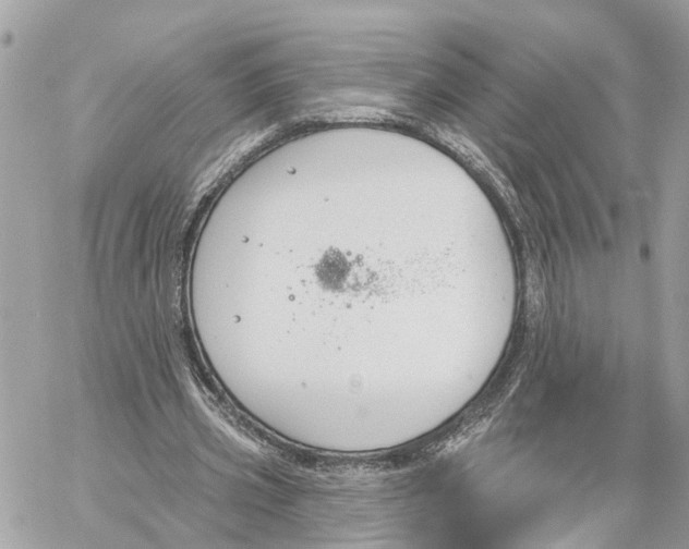 X0000059840533200511181515