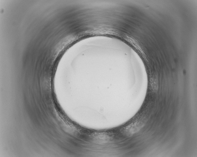 X0000059840534200511181515