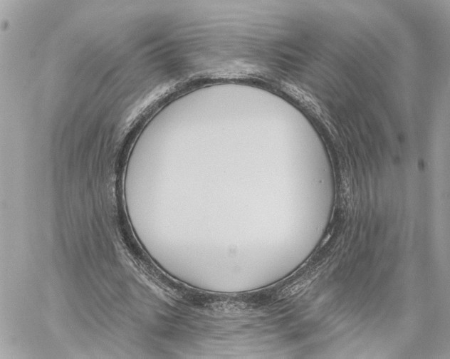 X0000059840535200511181515