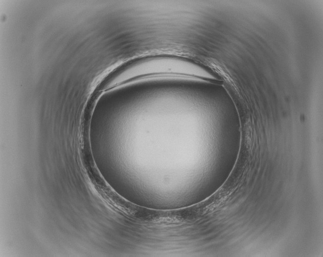 X0000059840536200511181515