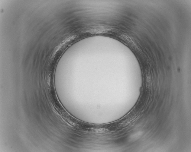 X0000059840539200511181515