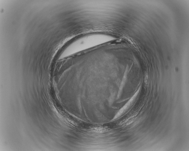 X0000059840540200511181515