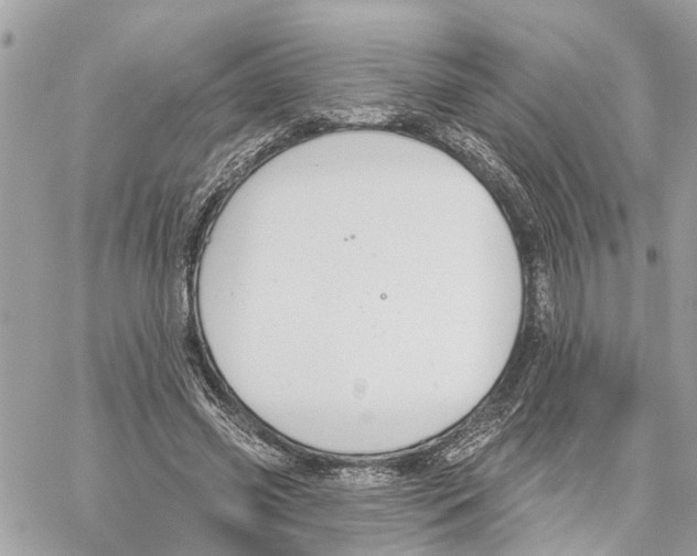 X0000059840541200511181515