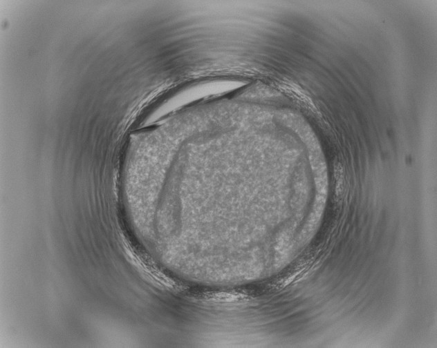 X0000059840542200511181515