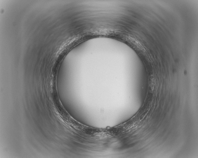 X0000059840544200511181515