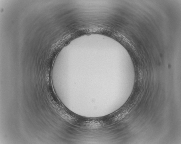 X0000059840545200511181515