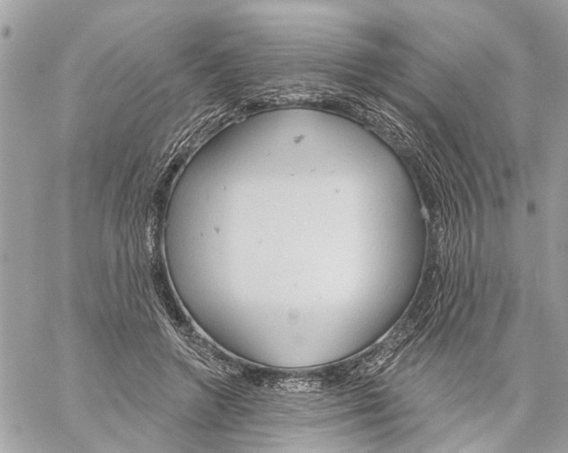 X0000059840546200511181515