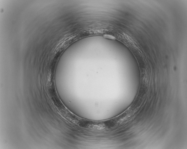 X0000059840548200511181515