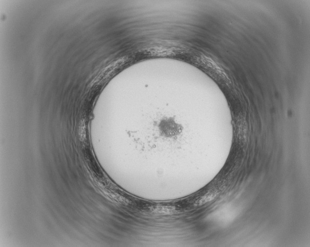 X0000059840549200511181515