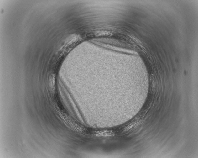 X0000059840550200511181516