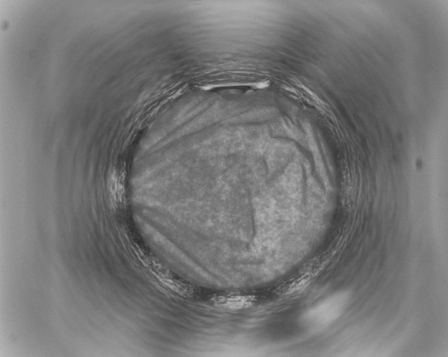 X0000059840553200511181516