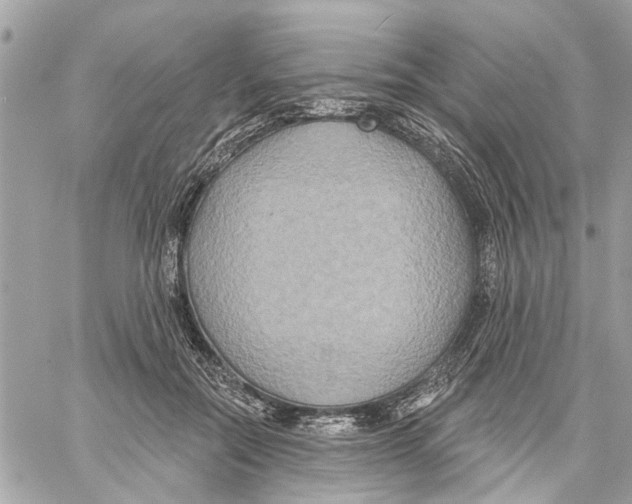 X0000059840554200511181516