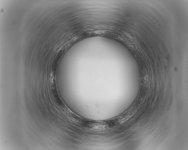 X0000059840555200511181516