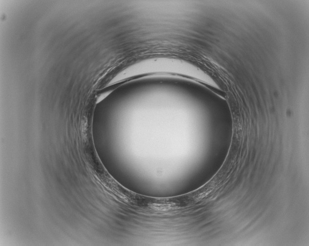 X0000059840556200511181516