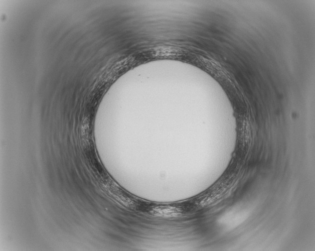 X0000059840557200511181516