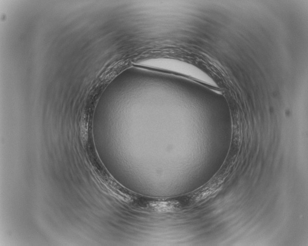 X0000059840558200511181516